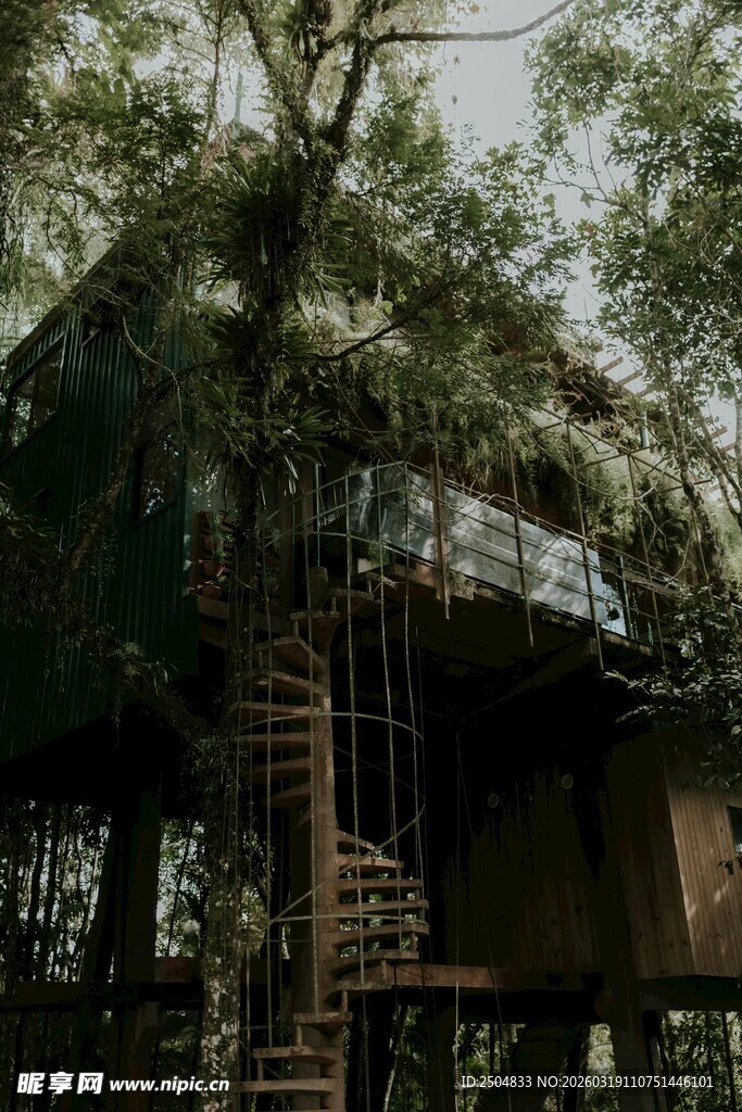 森林中的梦幻树屋