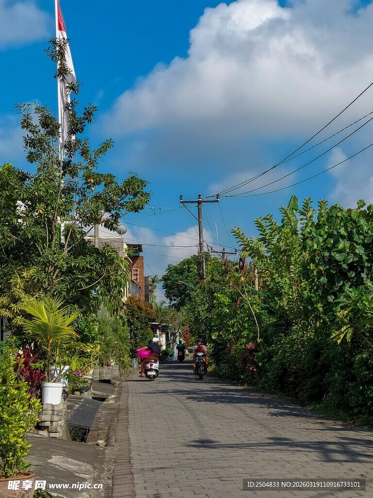 乡村小路的清新日常