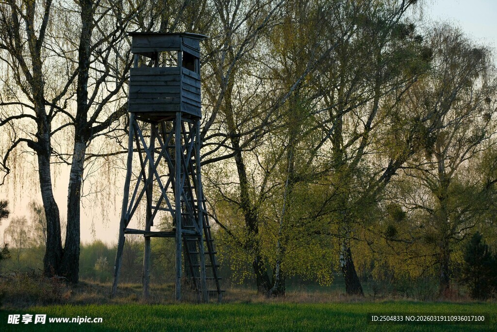 森林中的瞭望塔