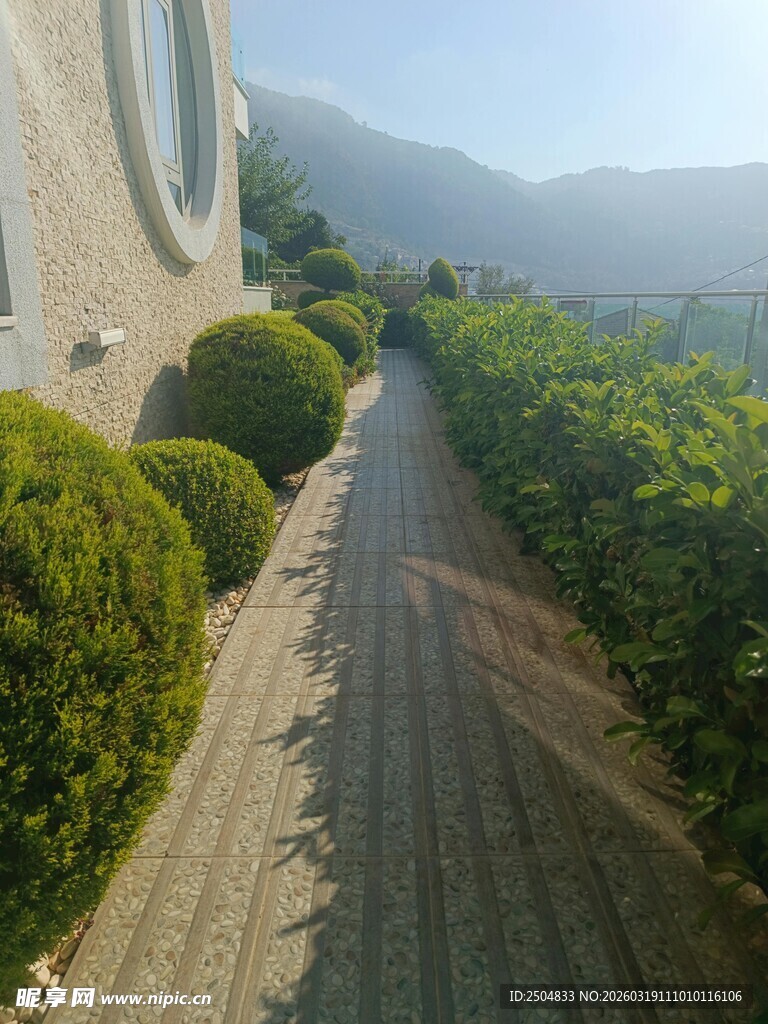 蜿蜒绿植小径 自然风光美