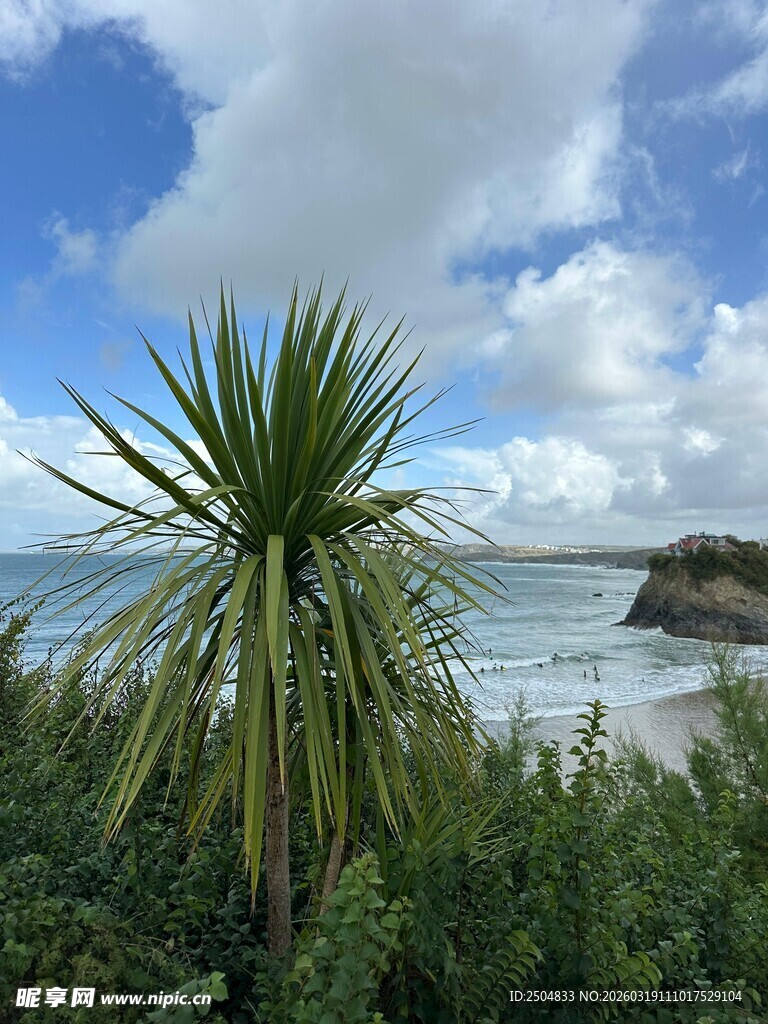 海边绿植与蓝天美景