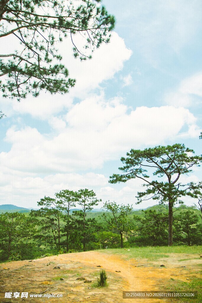 林间小径 畅享自然之美