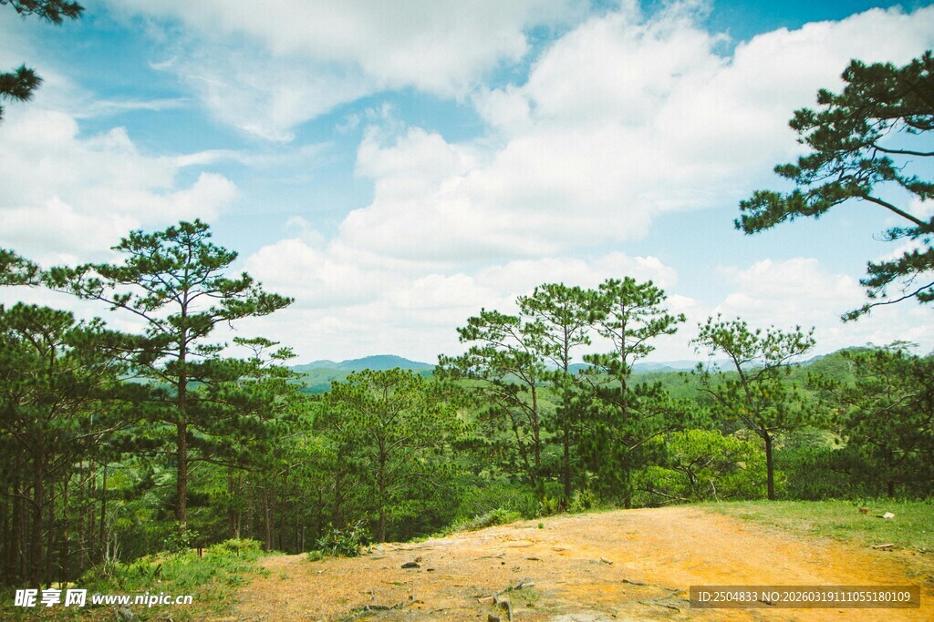 山间土路 绿意盎然的景致