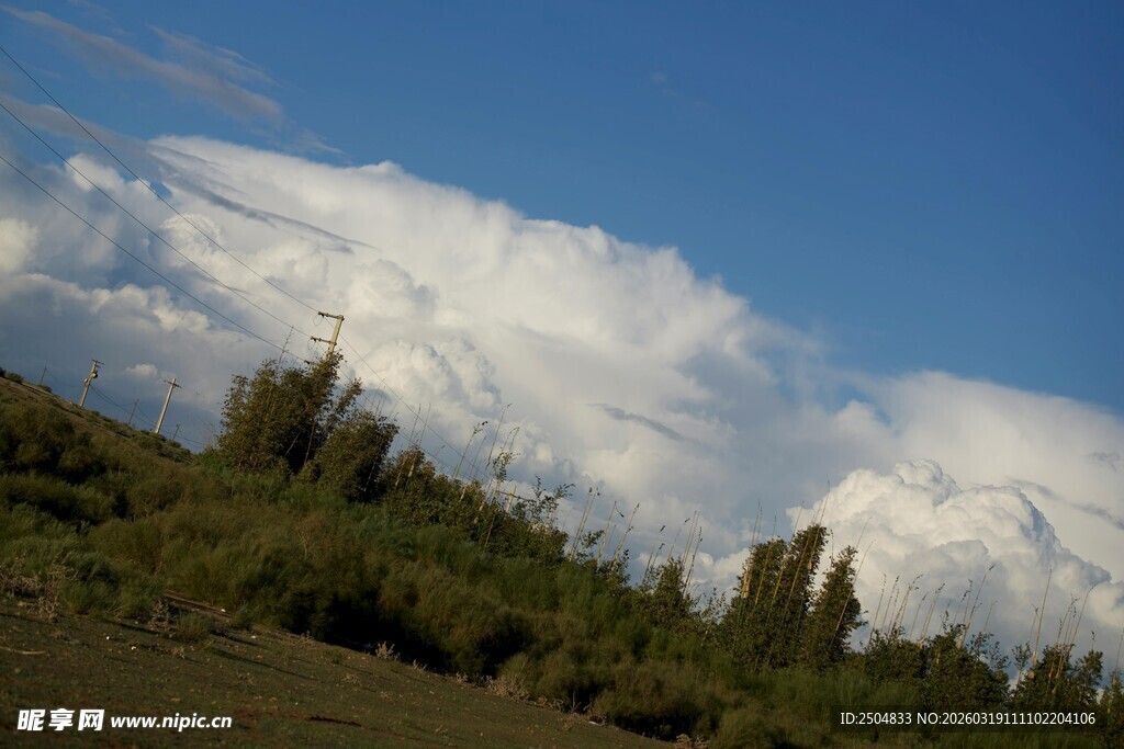 蓝天白云下的葱郁山林