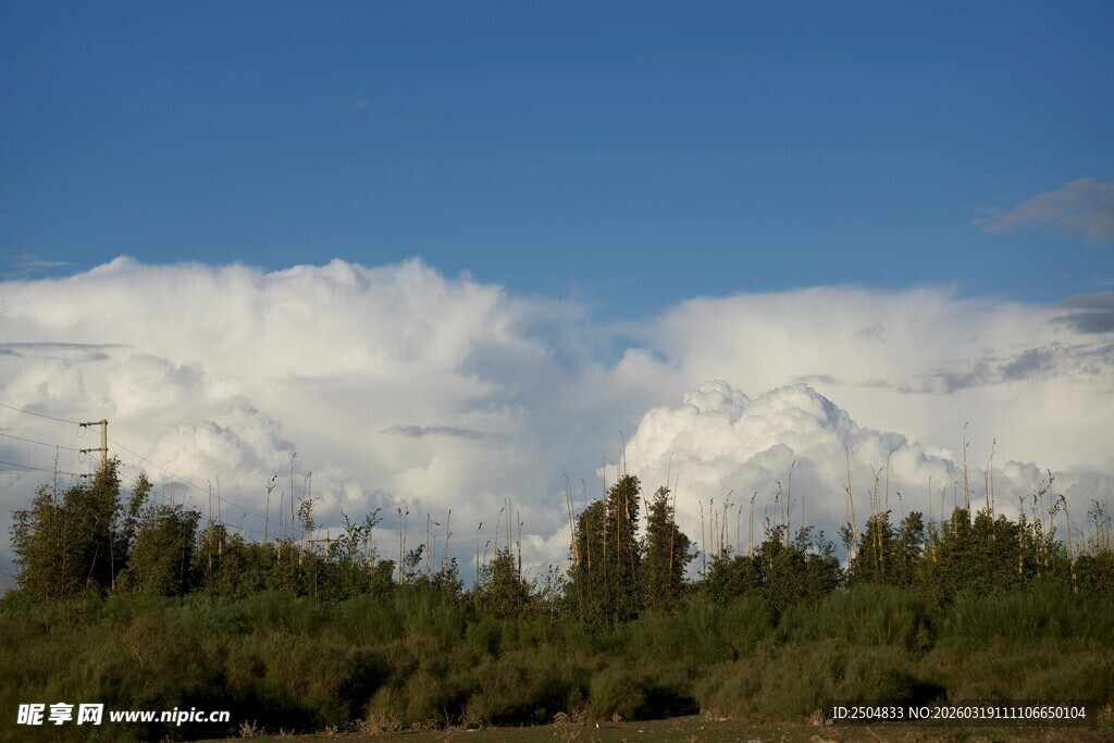 蓝天白云下的山林景观