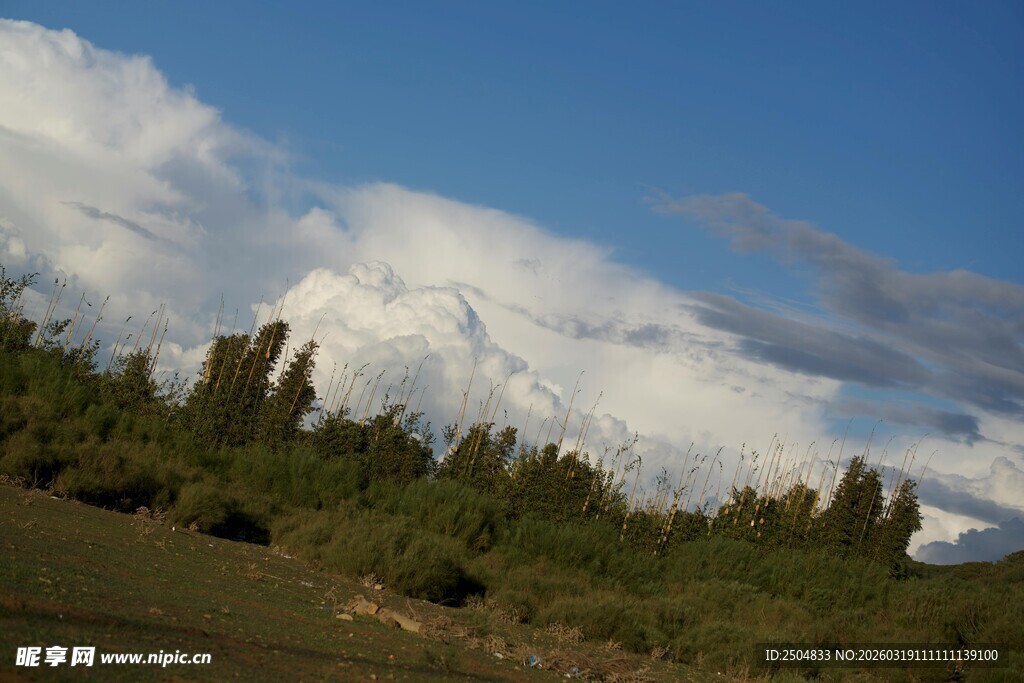 蓝天白云下的葱郁山林