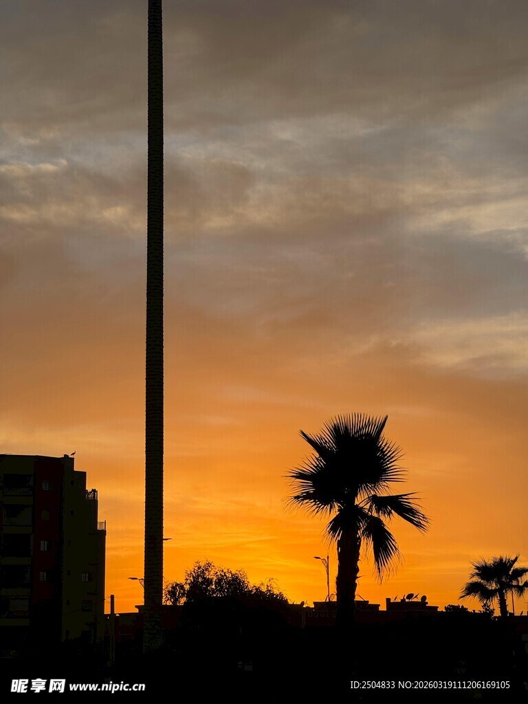夕阳下的棕榈树与建筑剪影