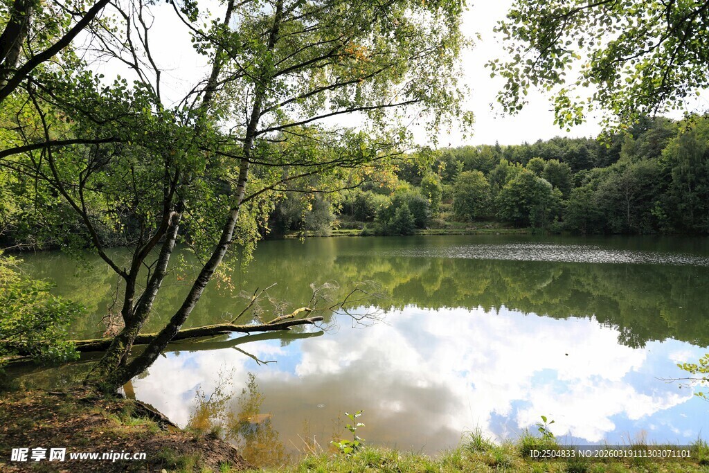 湖畔绿树成荫的静谧风光