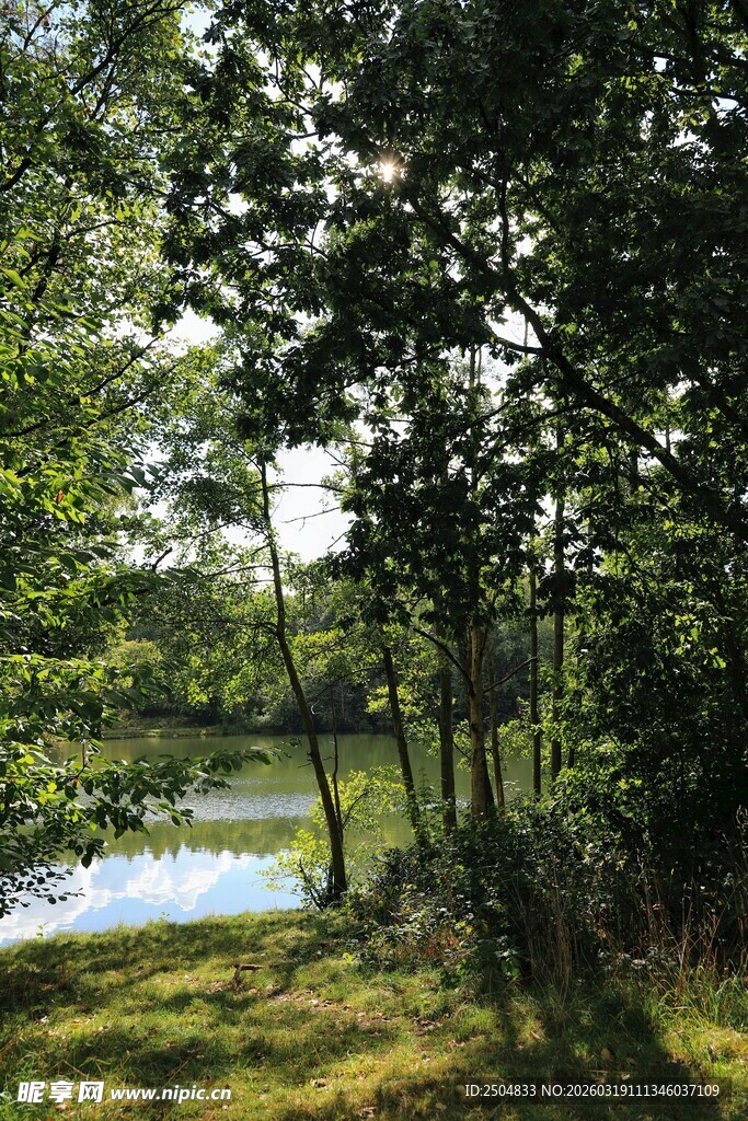 林间湖畔美景