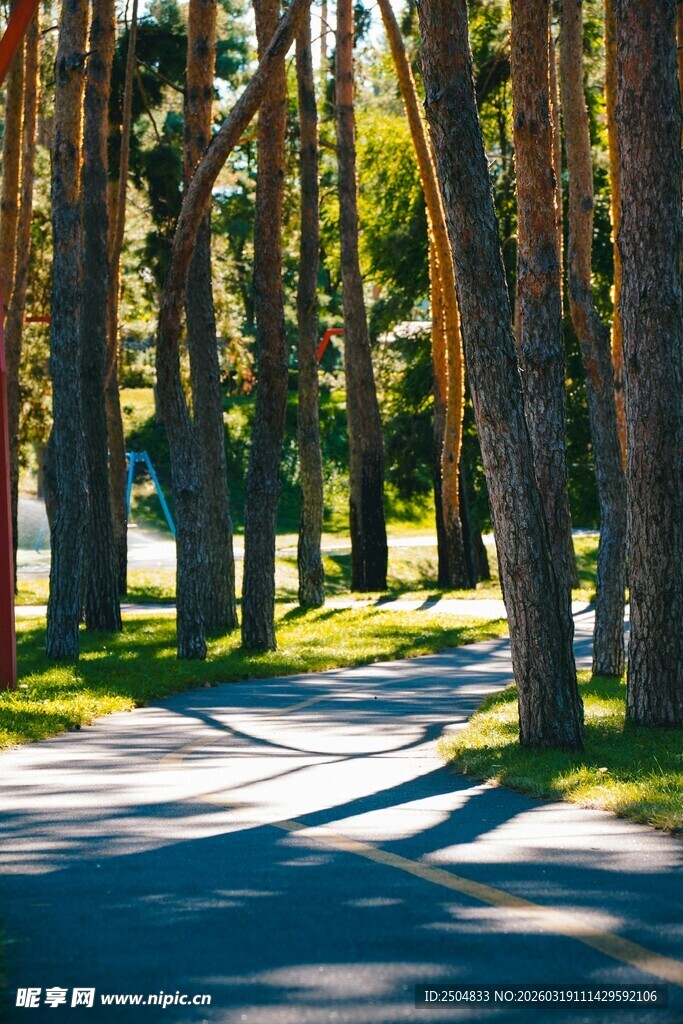 林间阳光小道 静谧美景