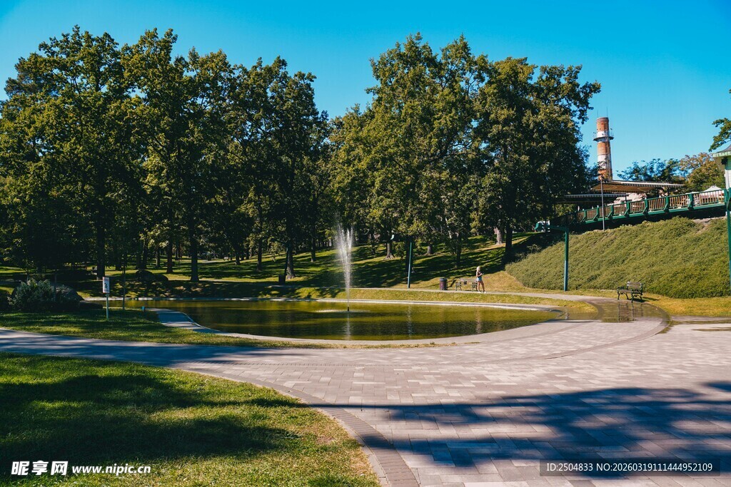 公园中的喷泉与绿树景观