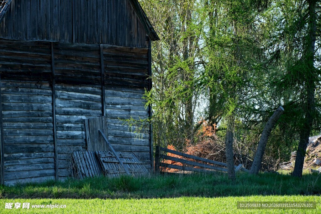 乡村木屋旁的绿意景致