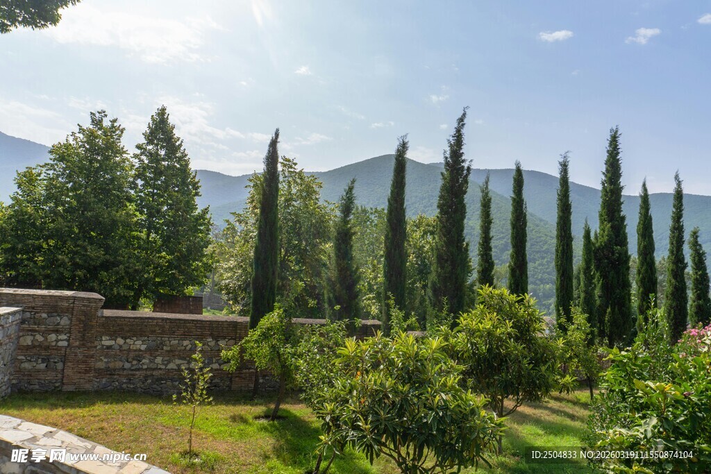 阳光照耀下的葱郁园林景观