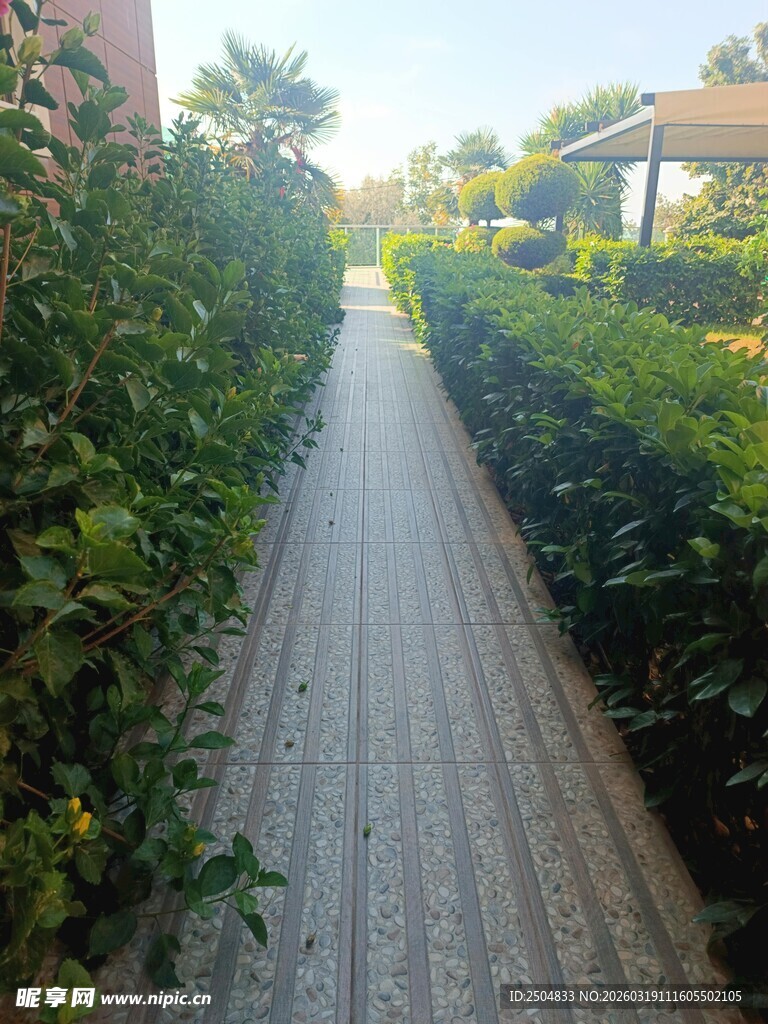 花园中的石板小径
