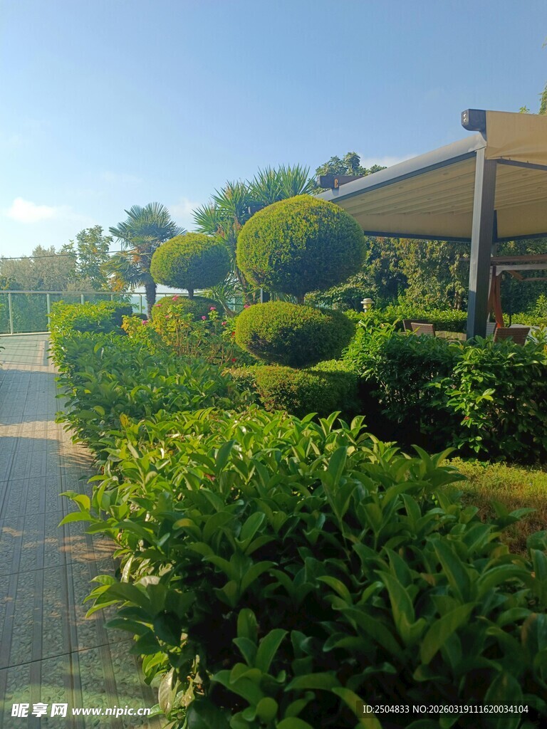 美丽园林景观 绿植环绕