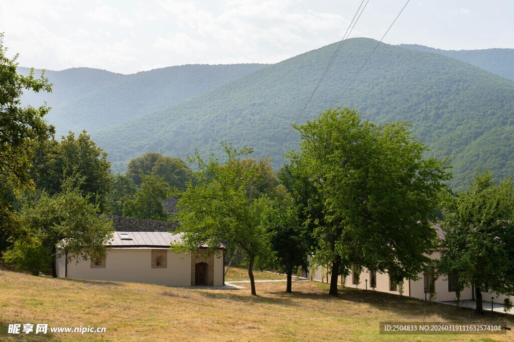 山间小屋旁的葱郁树木