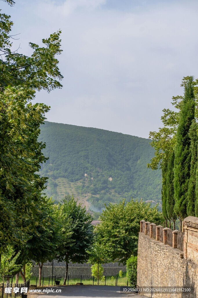 乡村路旁绿树与远山景色