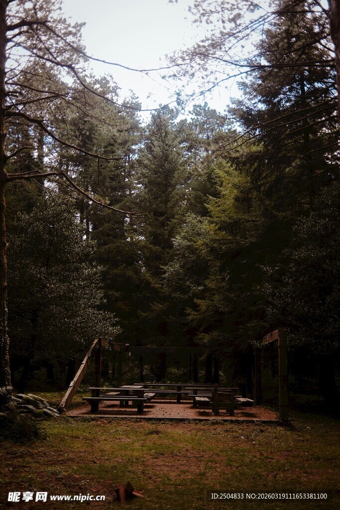 森林中的静谧休闲场地