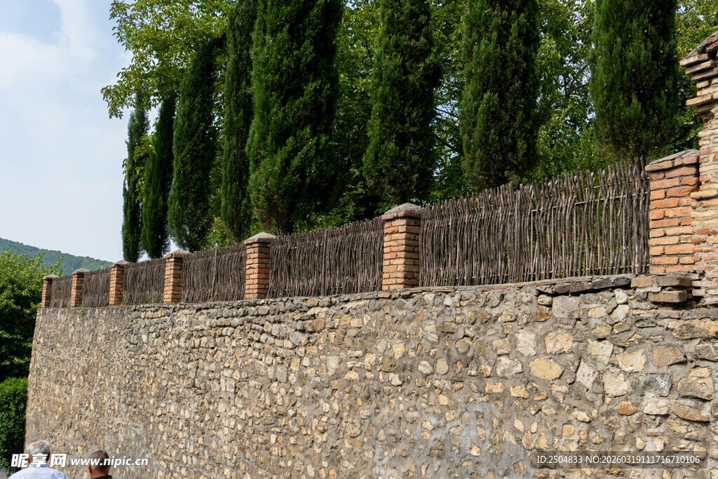 石墙旁的葱郁树木景观