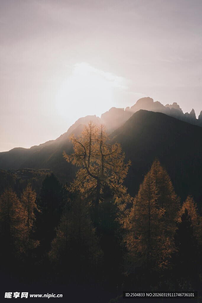 夕阳下的山林美景