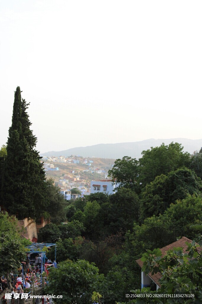 山林间的葱郁景致