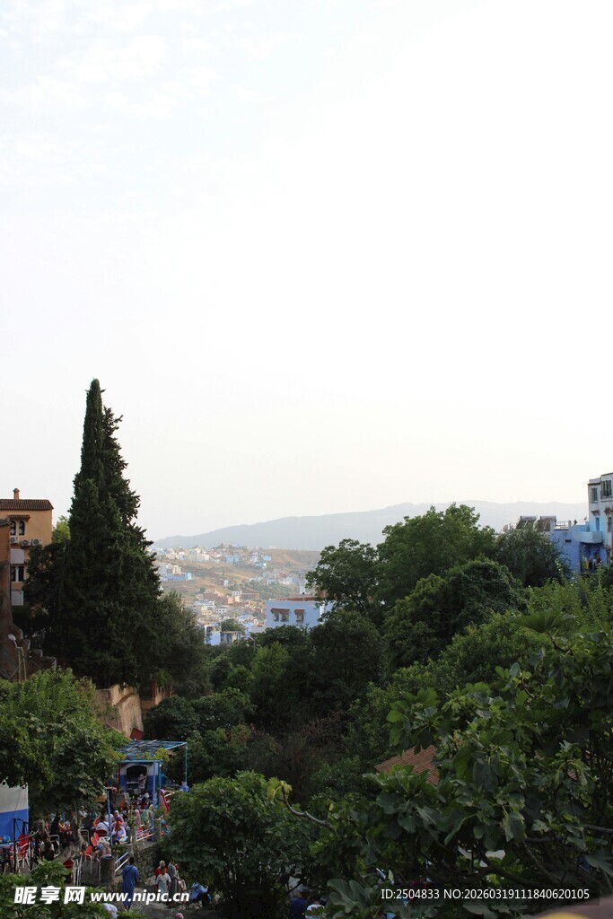 俯瞰城市中的葱郁景致