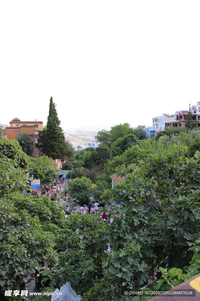 绿树环绕的城市景观