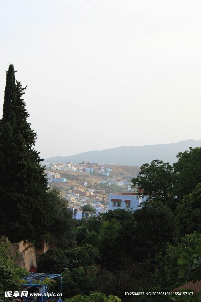 俯瞰城市与葱郁树木景观