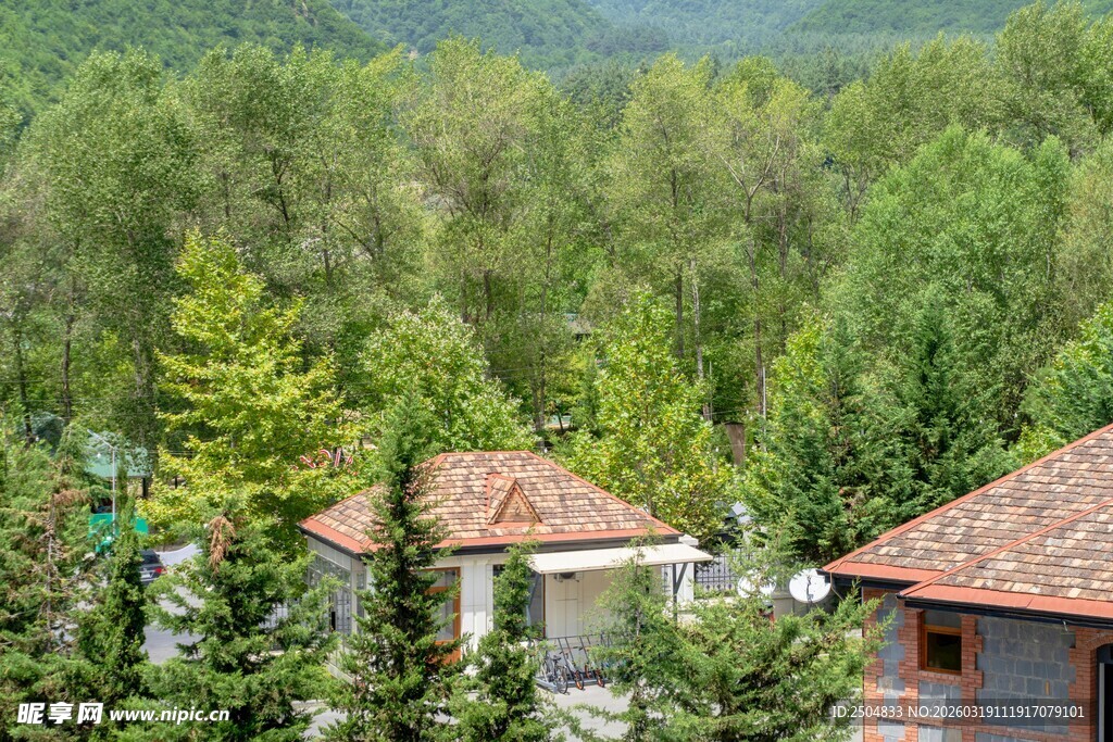 山林间的别致房屋