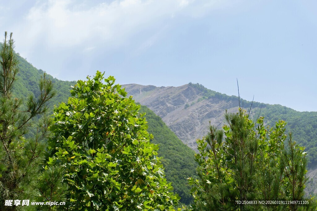 青山绿树间的远山风景