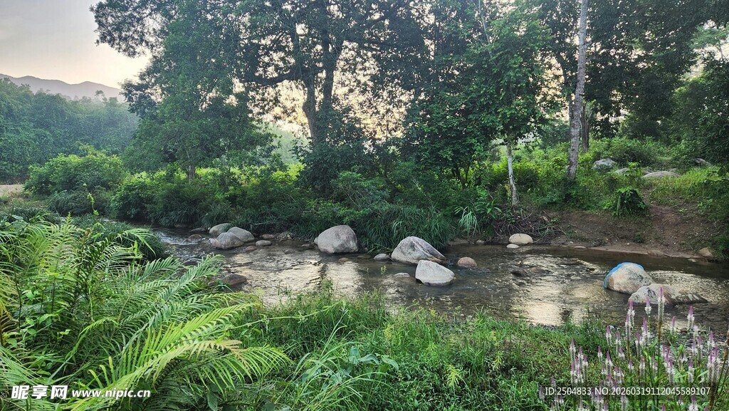 溪边绿意盎然的自然景致