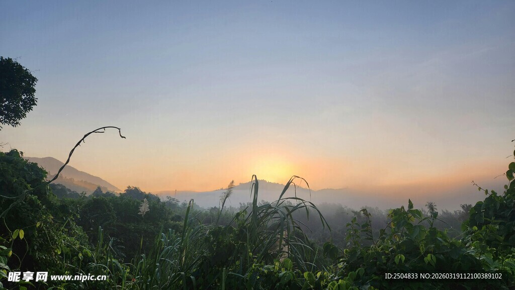 日出时分的山林美景