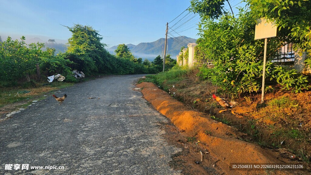 乡村小路风景