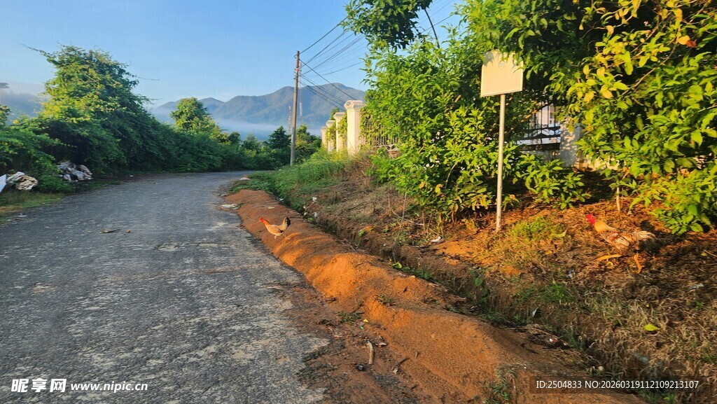 乡村小路旁的自然景致