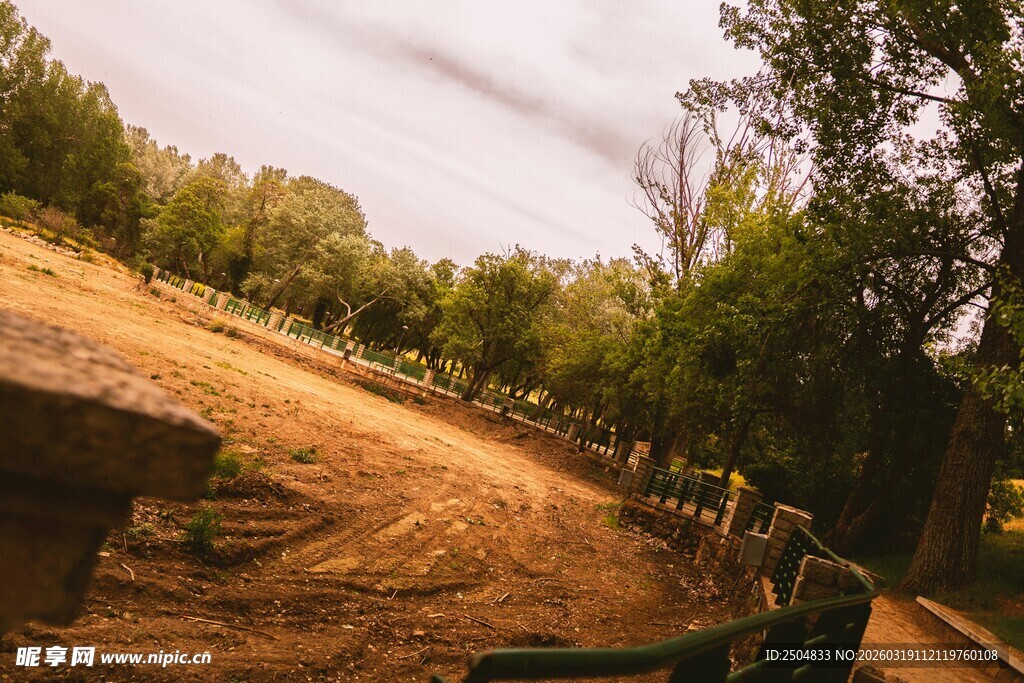 乡村林间的泥土小路