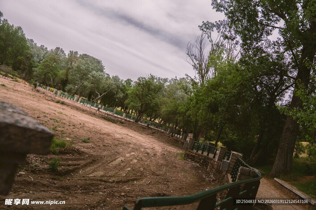 乡村小路旁的绿意景致