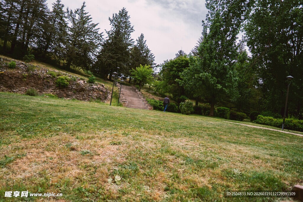 户外草地与树林景观