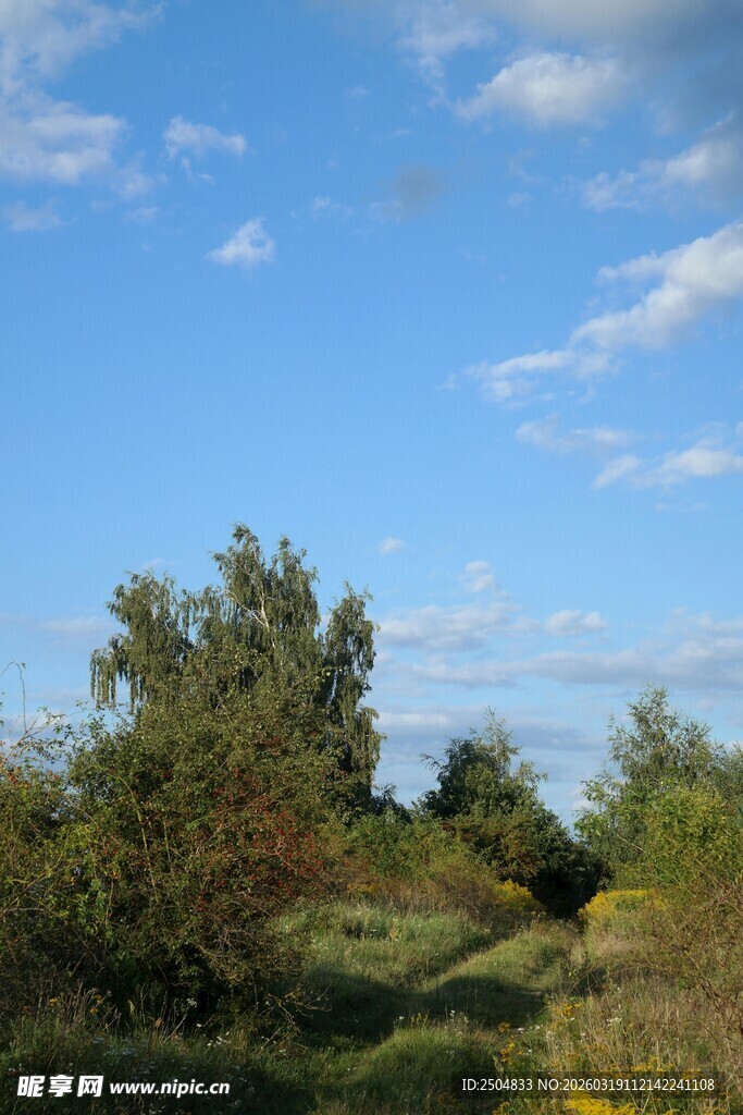 蓝天绿野间的自然景致