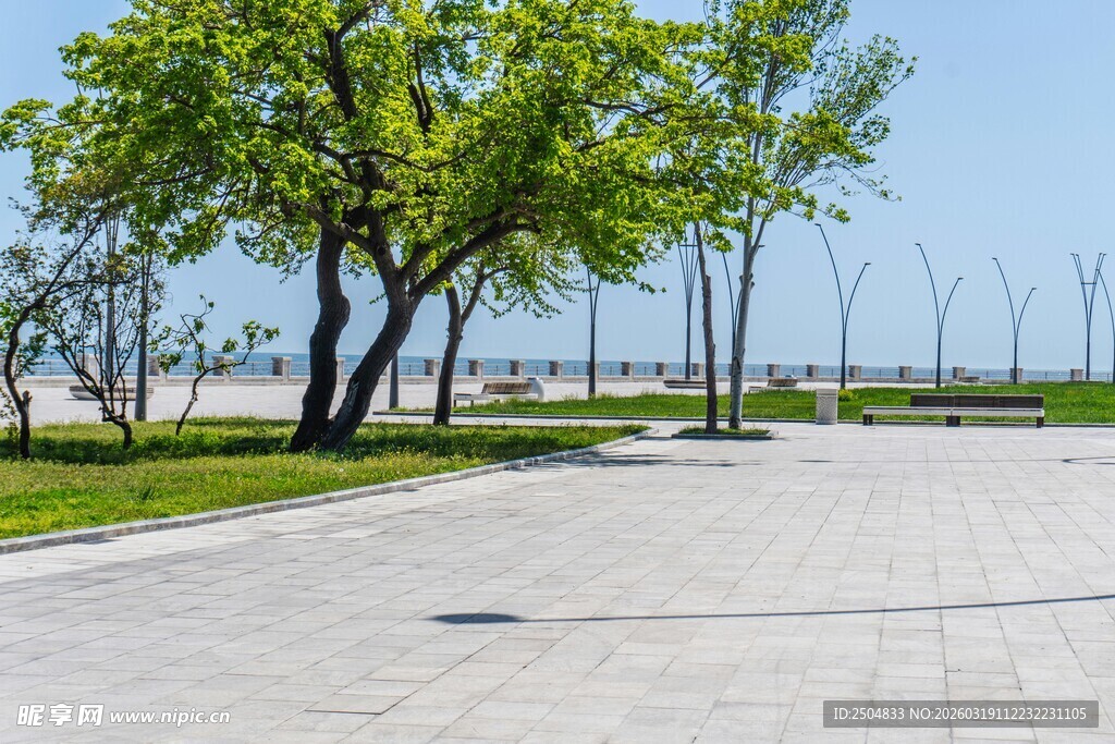 海滨绿树旁的宽阔步道