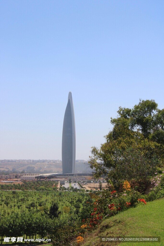 高耸现代建筑与绿植景观