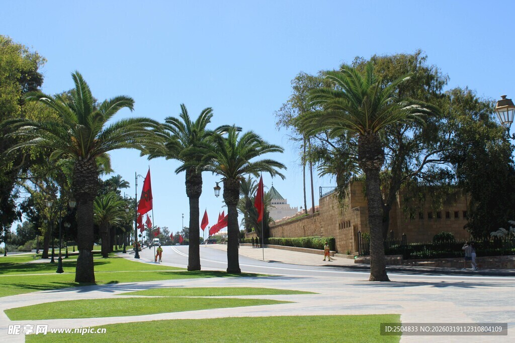 阳光明媚的棕榈树广场