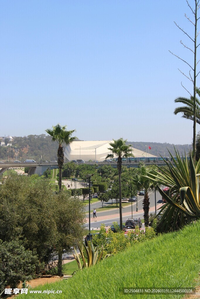 户外城市景观与绿植