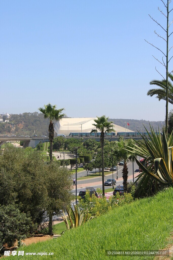 户外城市景观与绿植