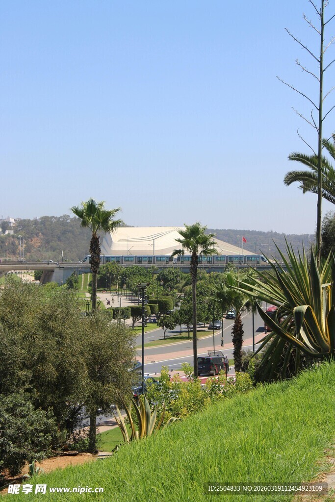 户外绿意盎然的风景