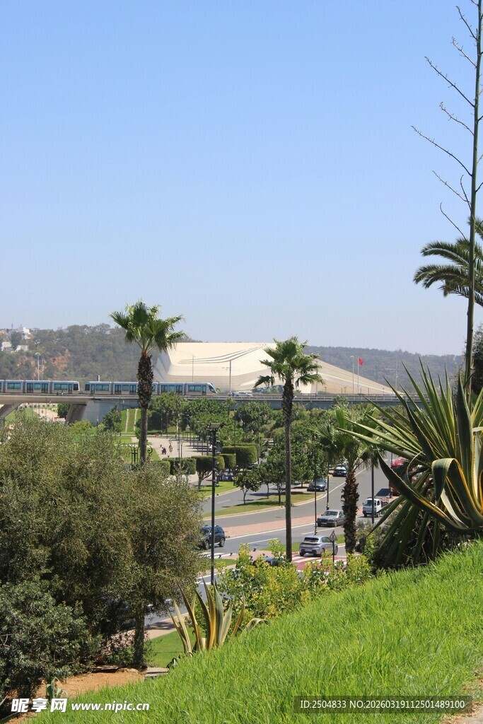 户外城市景观与绿植