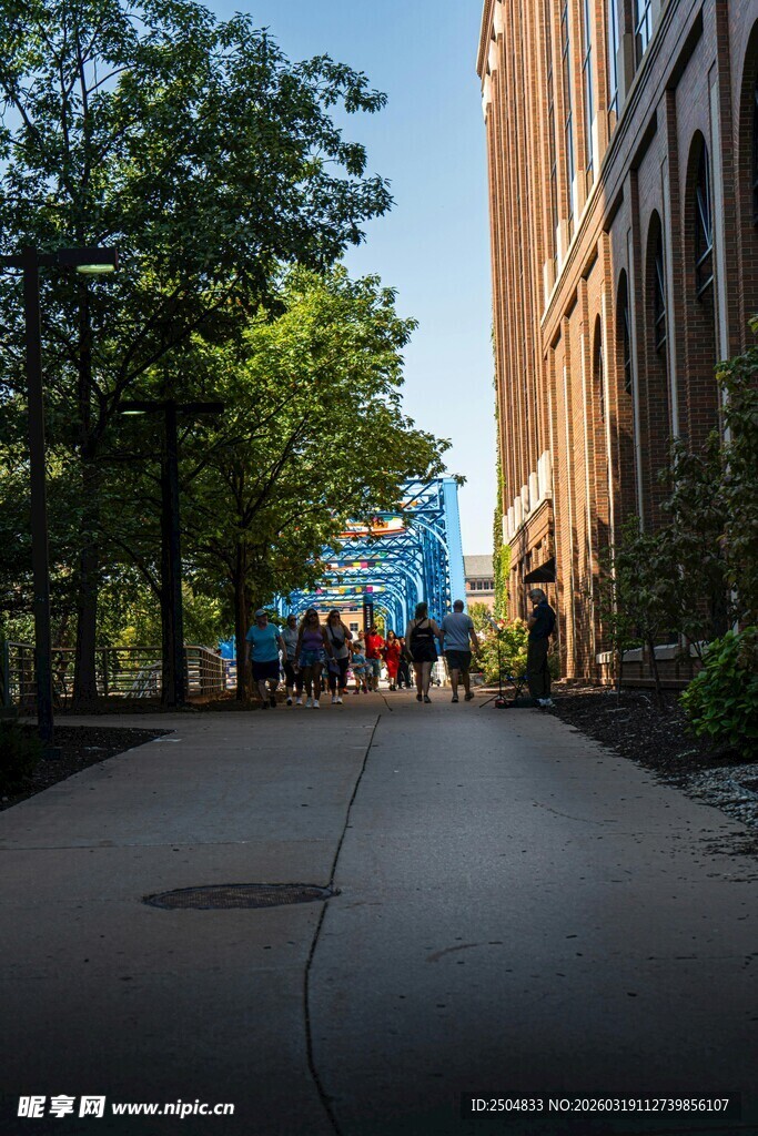 城市街道林荫下的行人景象