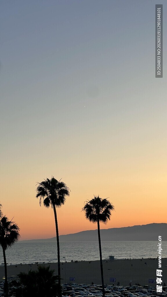 日落海边的棕榈树美景