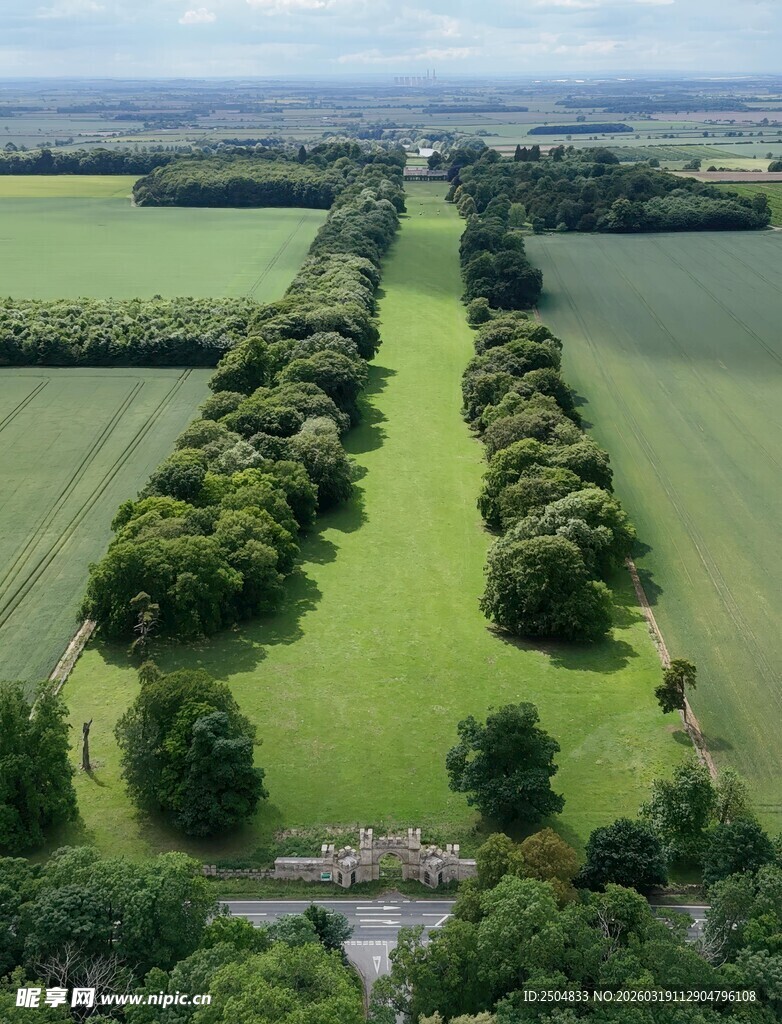 田园林荫道俯瞰美景