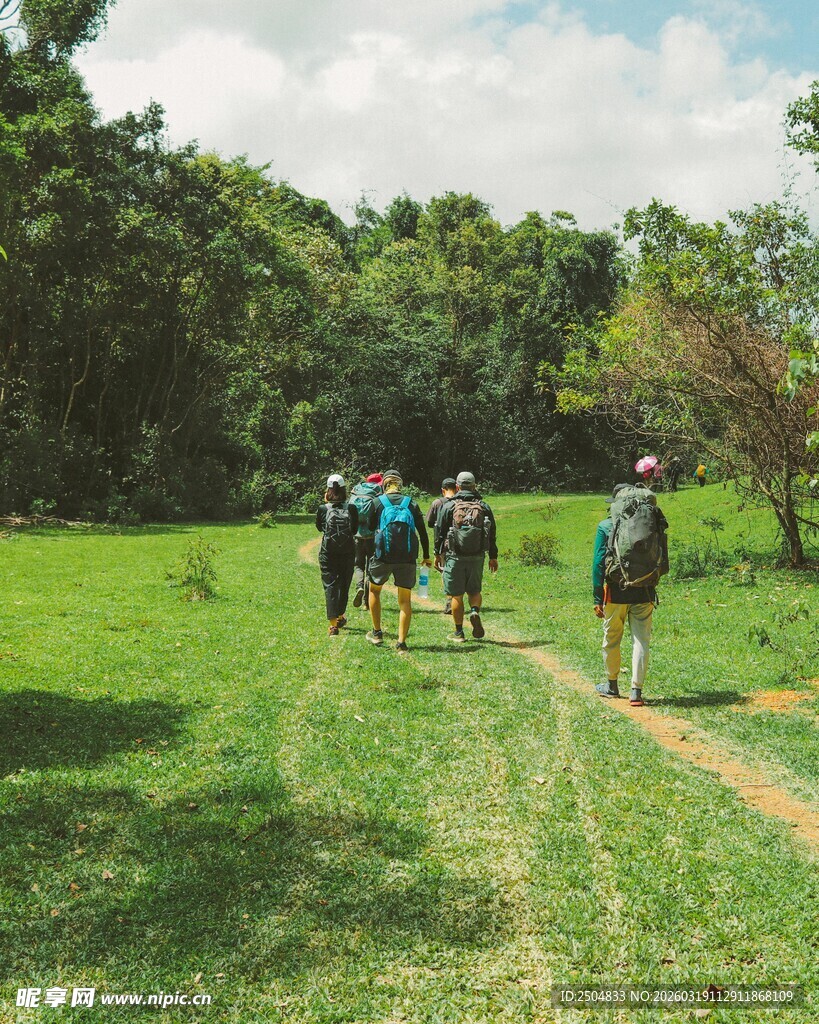 徒步旅行者穿行于绿野林间