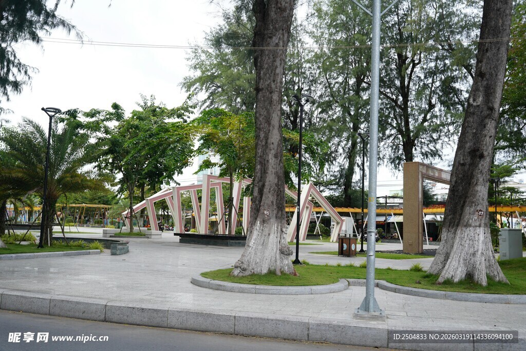 城市中的树木与开阔空间